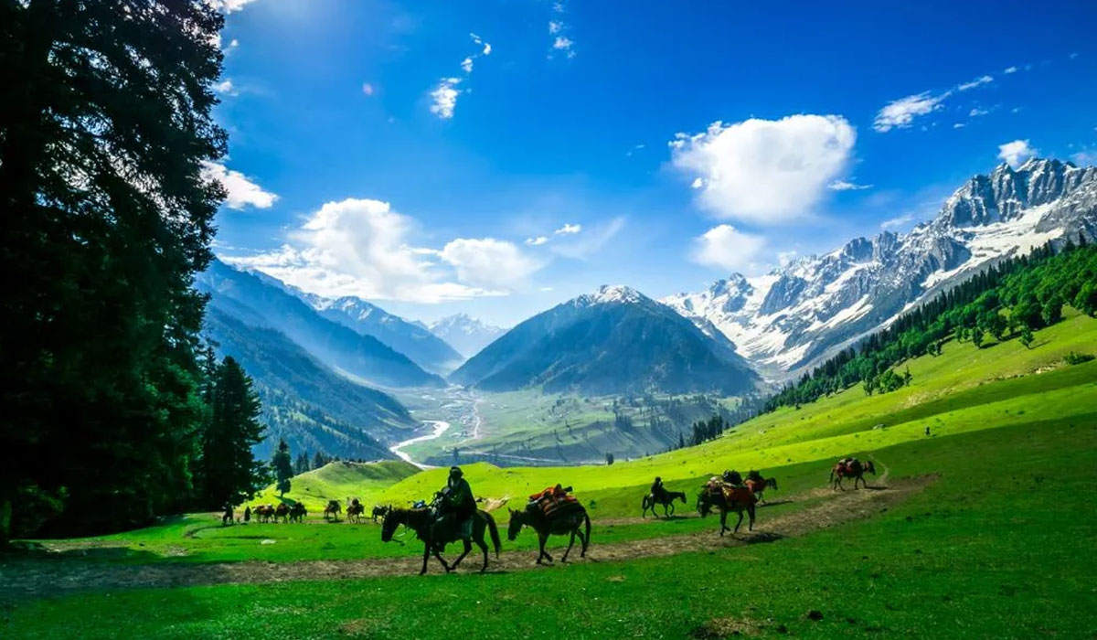 Sparsh Himalaya