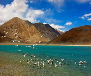 Sparsh Himalaya